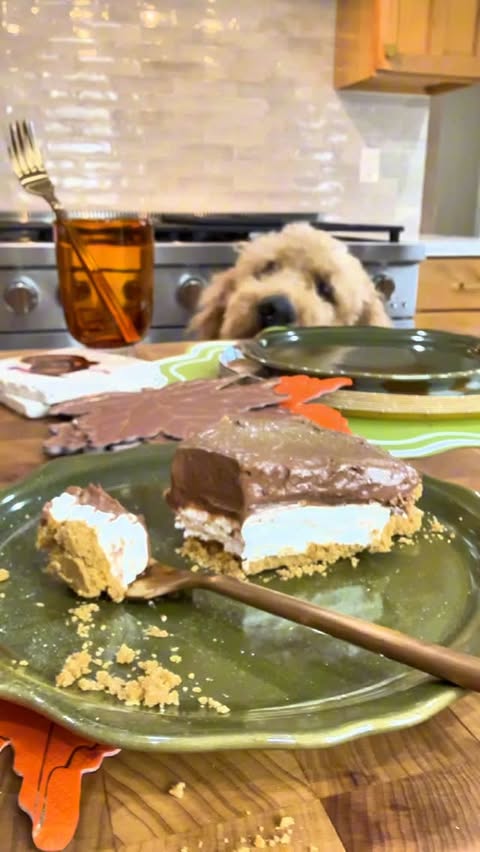 Instagram post by @mackenziebiehl for Cascade. Caption reads: #ad The holidays are all about joy-hosting family....