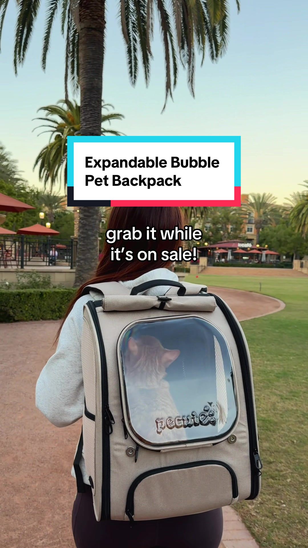 TikTok post by @gigixmeow for Pecute. Caption reads: [...] holiday gift for a pet parent!🎁  @Pecute.