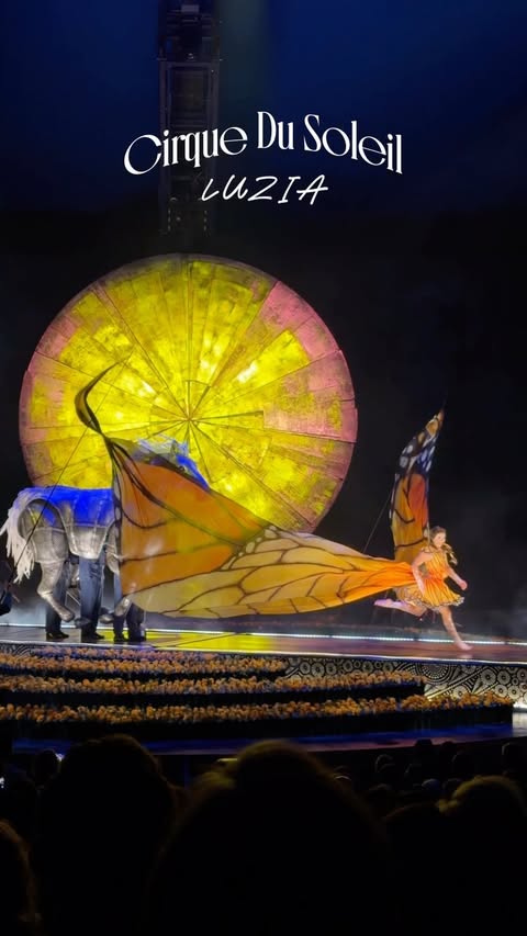Instagram post by @luzia.cirquedusoleil for Cirque du Soleil. Caption reads: [...] into a dream, this would be it 🌙✨ Cirque du....