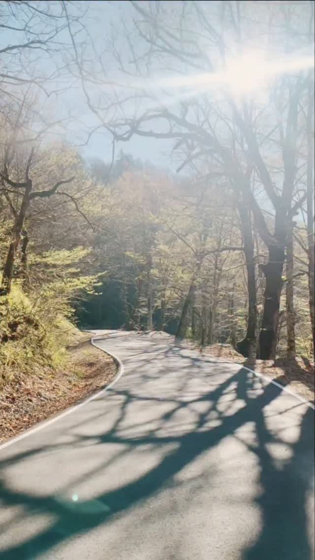 Instagram post by @mommy_and_avi for Nature Sure. Caption reads: [...] Edition
Pure. Powerful. Proven by Nature.....