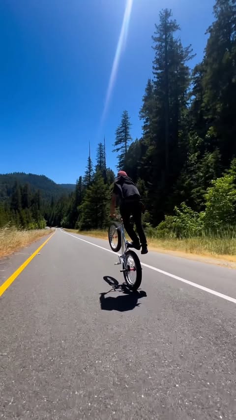 Instagram post by @oneway_bdog for SE Bikes. Caption reads: 🌲🌲🦌 - @sebikes #bikelife #sebikes #citygrounds....