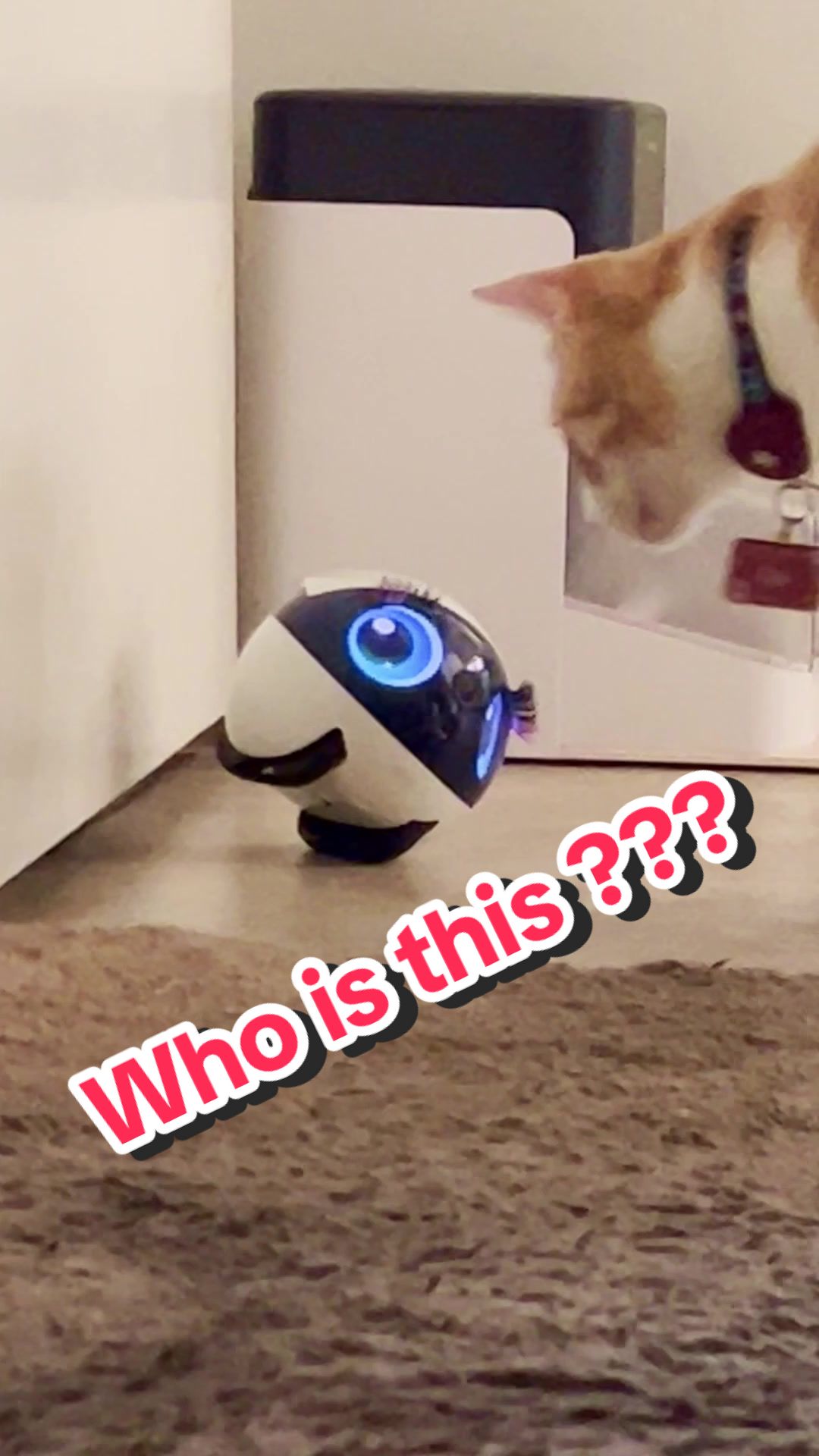 TikTok post by @sharedtrauma19 for Enabot. Caption reads: Want one 😆 we have a link in bio  @Enabot 🩵....