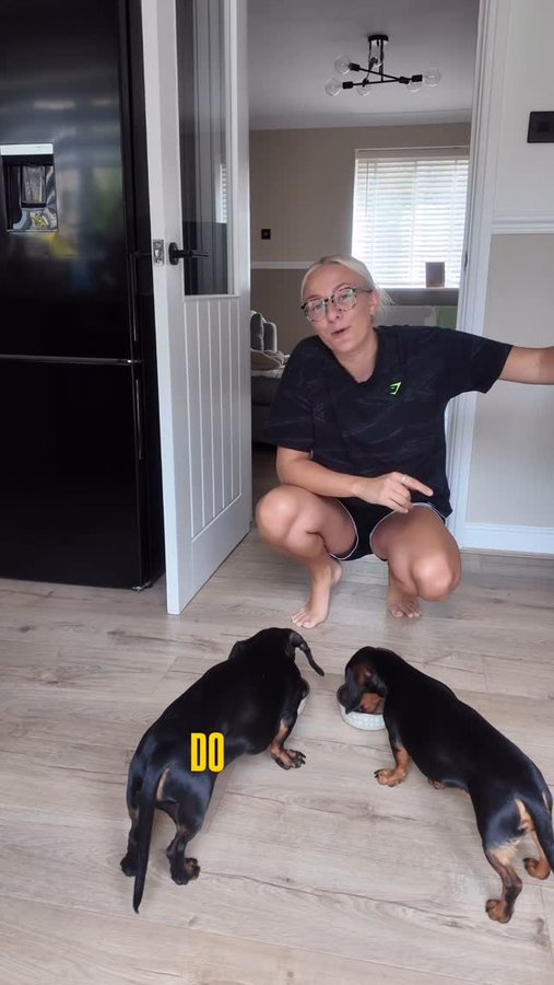 Instagram post by @beth.pabs.frank for Marleybones. Caption reads: Save your sanity try @marleybonesdogdining today....