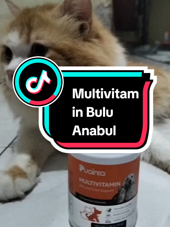 TikTok post by @aziz_ilham1 for Puainta. Caption reads: [...] #SiPalingAffiliate #vitaminkucing....