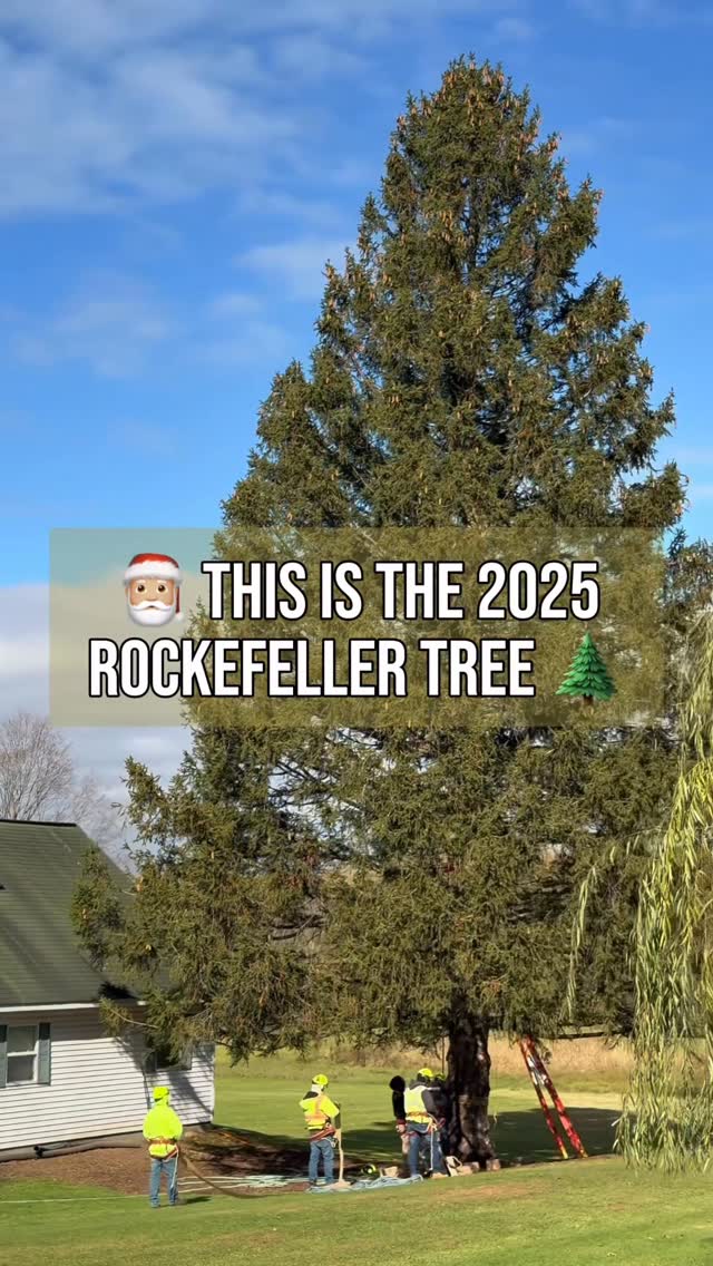 Instagram post by @mychristmasinnewyorkcity for Secret NYC. Caption reads: Exclusive Footage‼️ This is the very first view of....