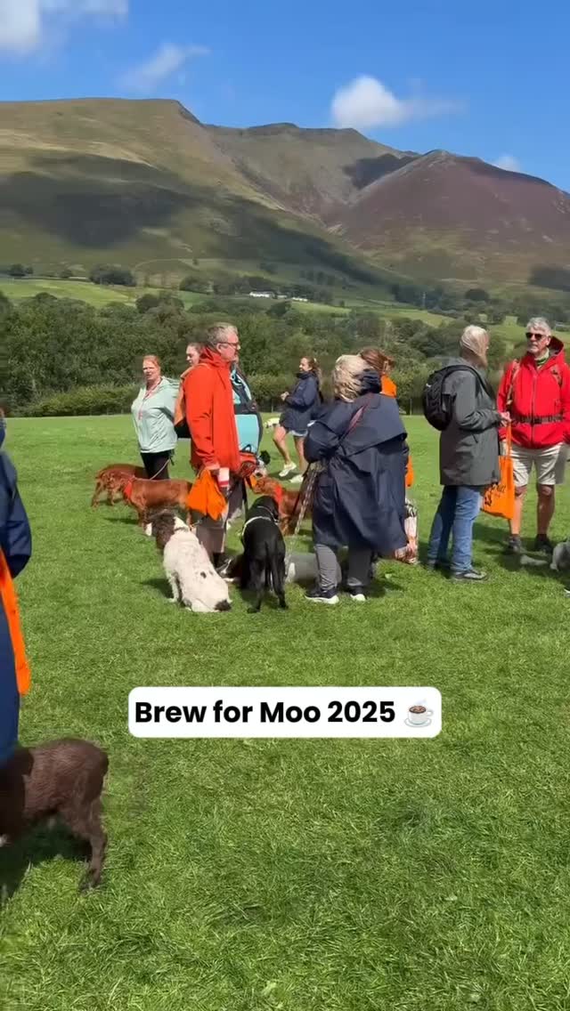 Instagram post by @maxoutinthelakedistrict_ for Pooch and Mutt. Caption reads: Back in August Pooch & Mutt went along for the 4th....