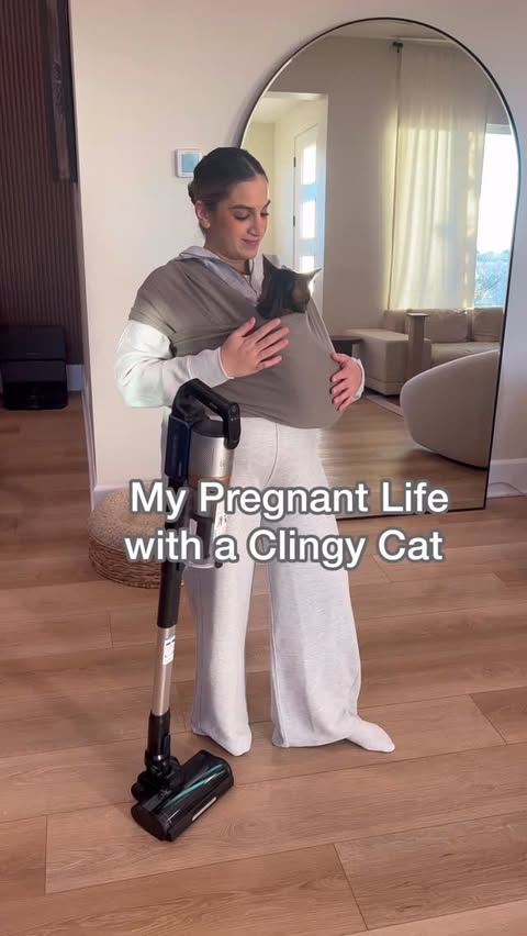 Instagram post by @dontstopmeowing for Levoit. Caption reads: [...] at this point 😅 #catmom....