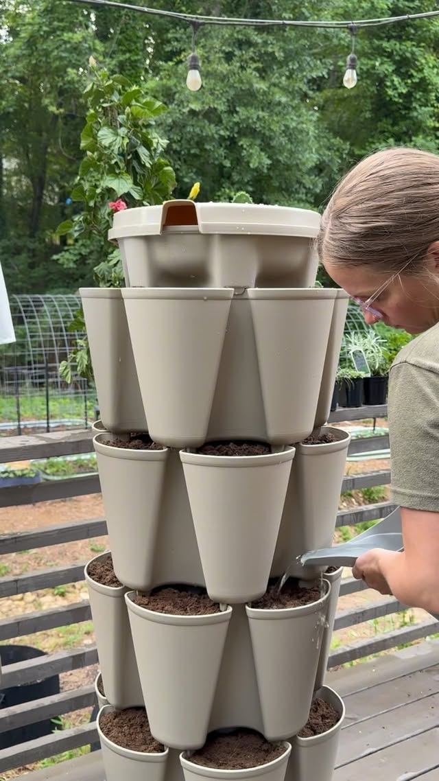 Instagram post by @graycedarhome for Epic Gardening. Caption reads: [...] vertical planter from Epic Gardening!....