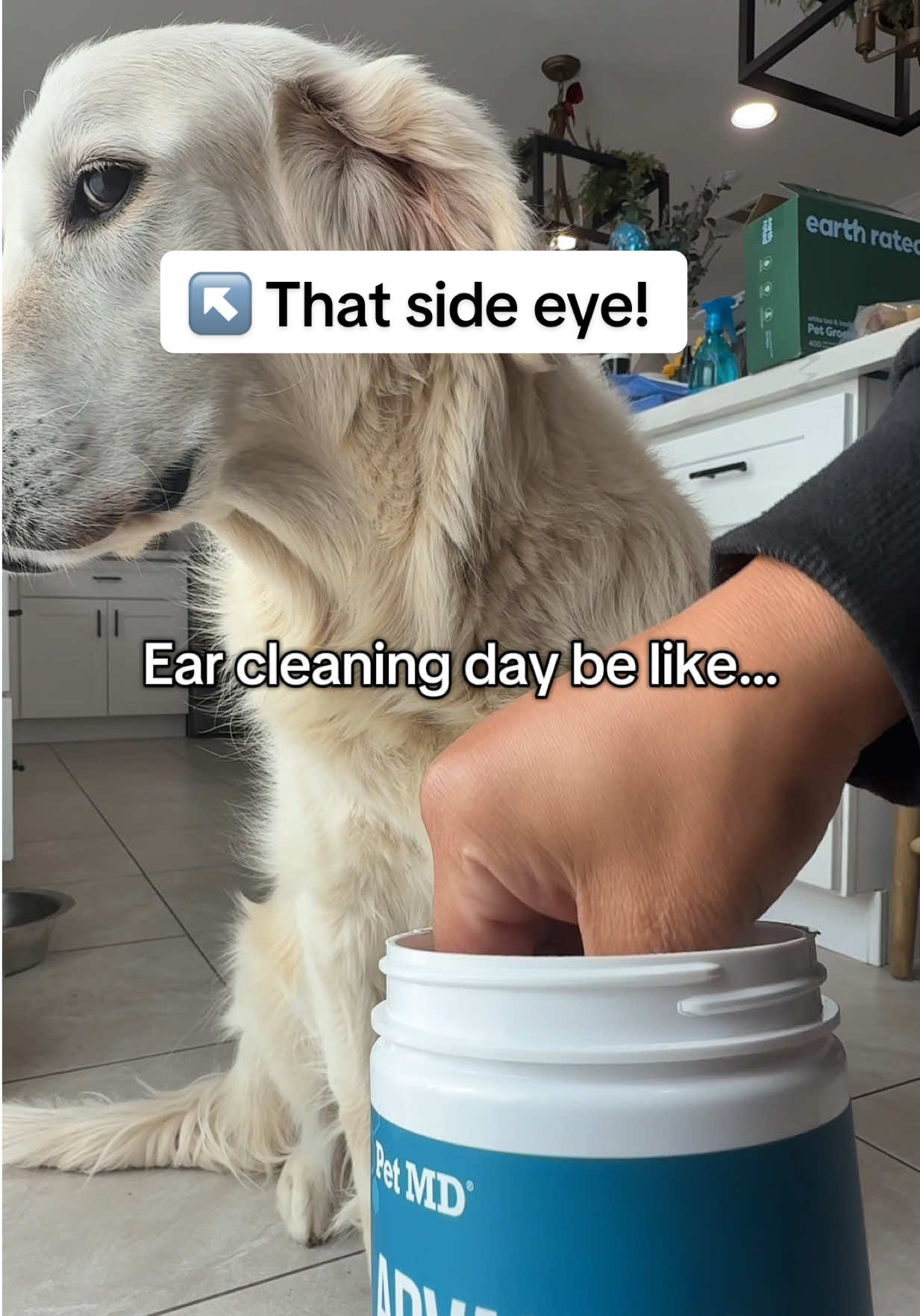 TikTok post by @bodhiandkoda for PetMD Store. Caption reads: If your dog runs the second they hear “ear....