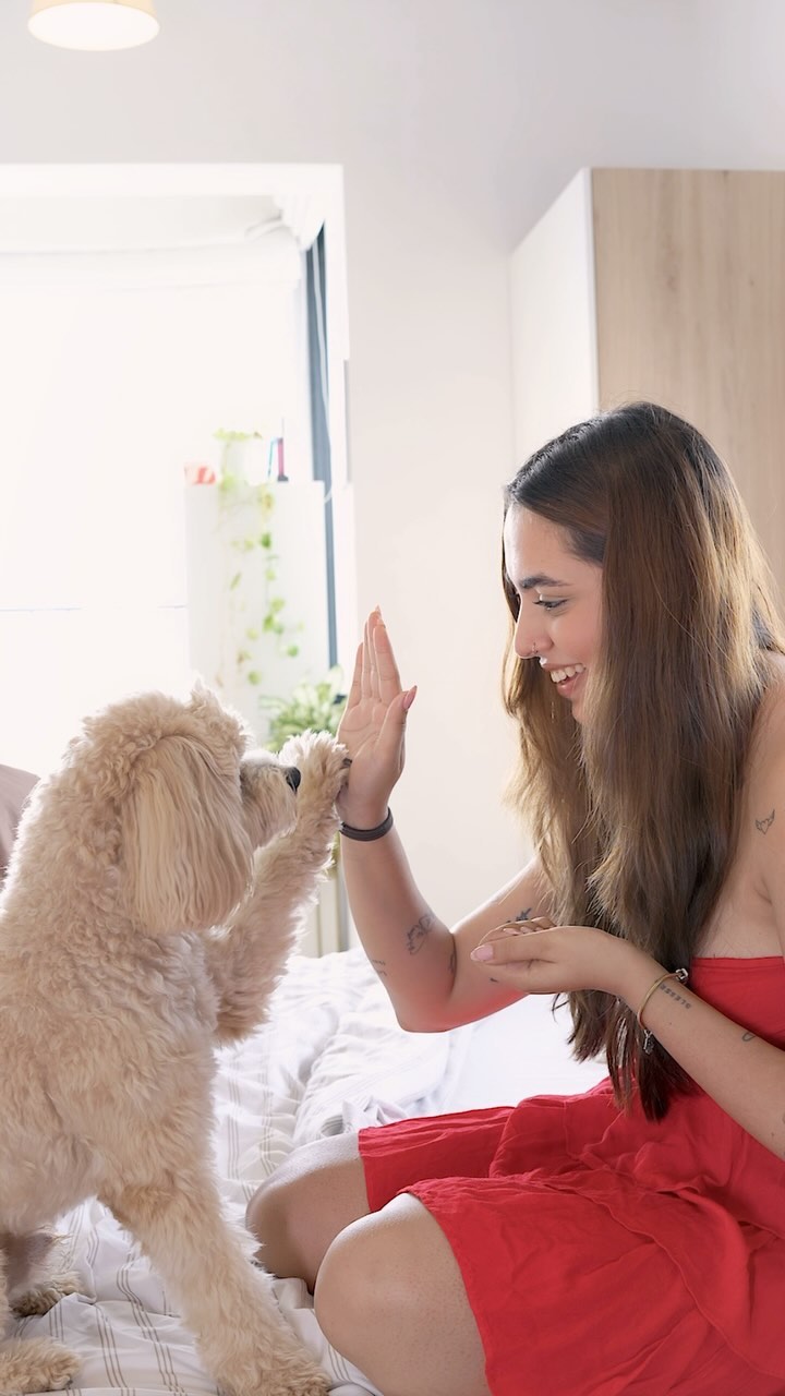 Instagram post by @aaliyahkashyap for OnePlus India. Caption reads: Furry friends bring joy, let’s return the love!....