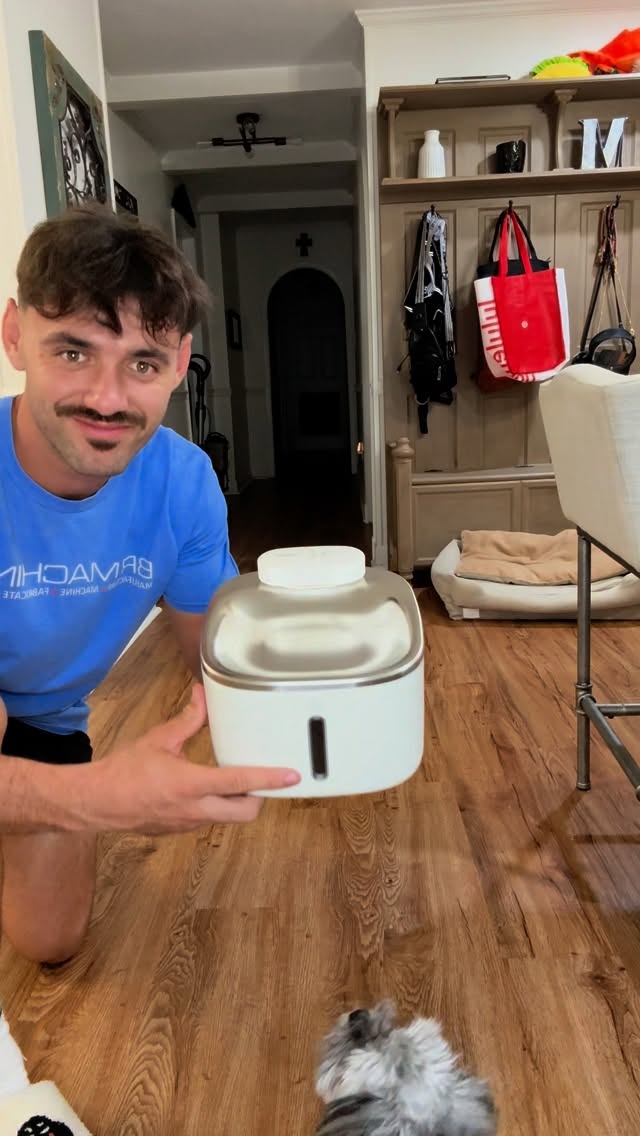 Instagram post by @therealcurb for Oneisall. Caption reads: Your dog needs a OneIsAll Water Fountain so grab....