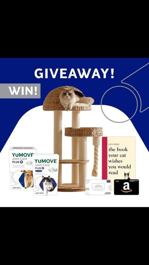 Instagram post by @lucy_hoile_feline_behaviourist for YuMOVE. Caption reads: 🎉 Win a year’s supply of YuMOVE Joint Care PLUS....
