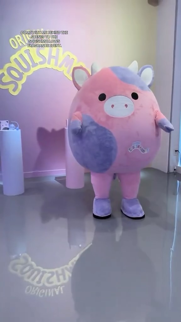 Instagram post by @danisquishie for Squishmallows. Caption reads: Partnership with @squishmallows - the new....