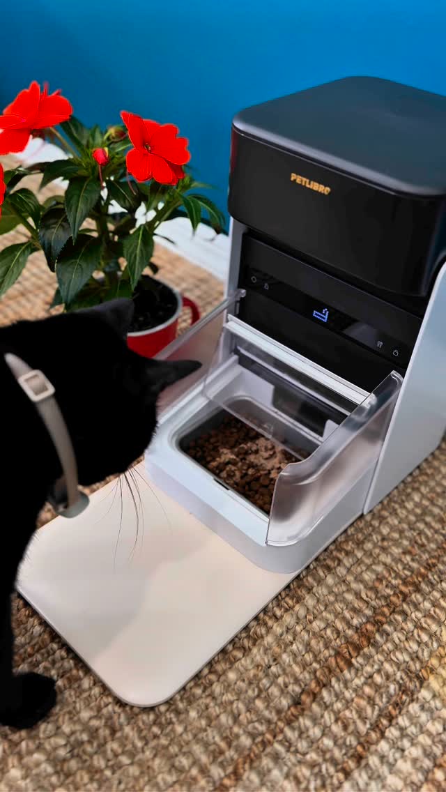 Instagram post by @ashle.usa for Petlibro. Caption reads: Feeding time just got smarter with Petlibro RFID....