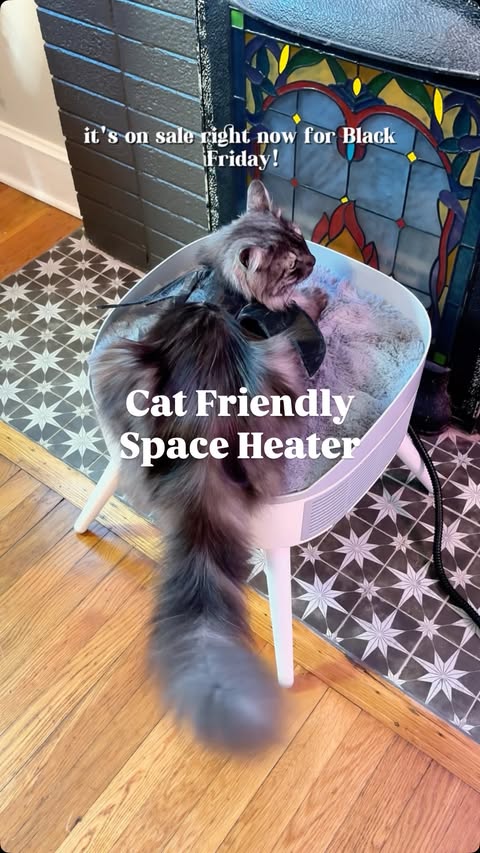 Instagram post by @nhonsworld for Homerunpet. Caption reads: [...] 

Link in bio! Use NHON20 for 20% off....