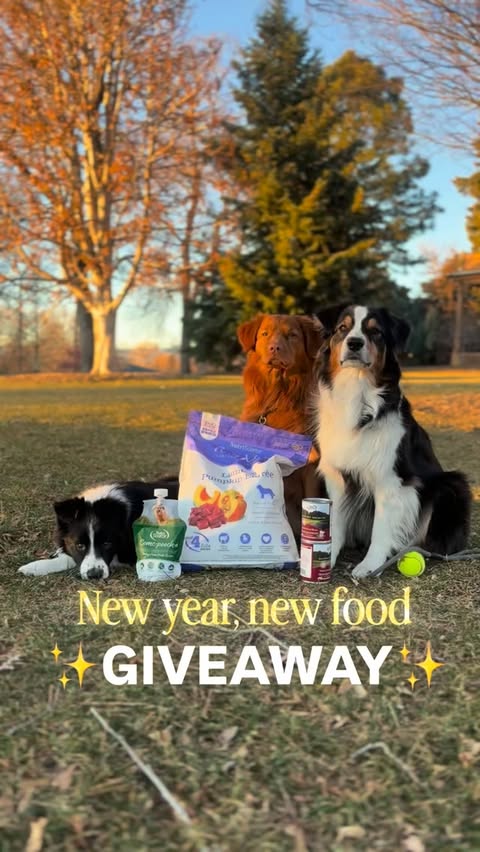 Instagram post by @ourwesternjourney for NutriSource Pet Foods. Caption reads: ✨GIVEAWAY TIME✨ | partnership 

New year, new food....