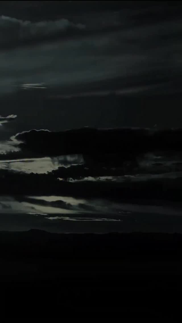 Instagram post by @wilhelmina.newyork for WILHELMINA. Caption reads: Wilhelmina Models new website is now live! Check....