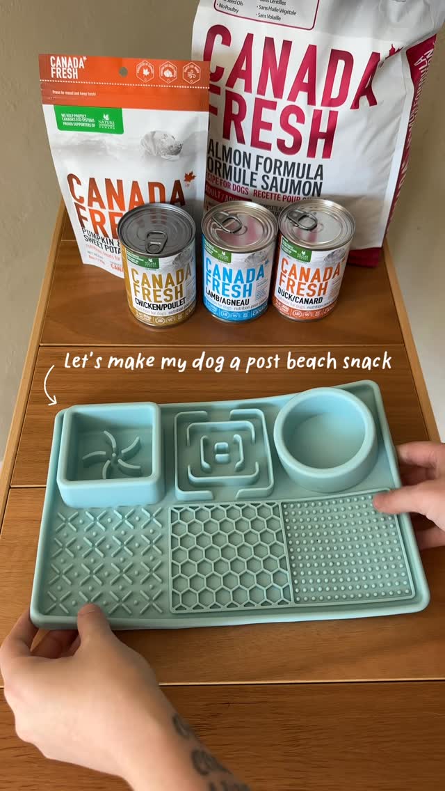 Instagram post by an influencer for Canada Fresh by PetKind. Caption reads: Snacks are a must after a day at the beach | AD....