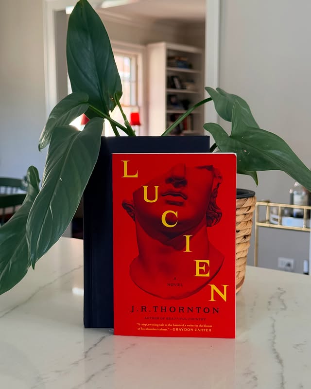 Instagram post by an influencer for Harper Perennial. Caption reads: [...] @bibliolifestyle and @harperperennial for....
