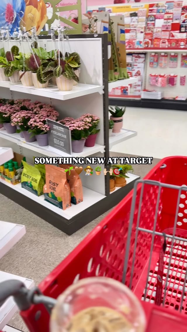 Instagram post by @targetscallingme for Rosy Soil. Caption reads: [...] feeling its absolute BEST by shopping....