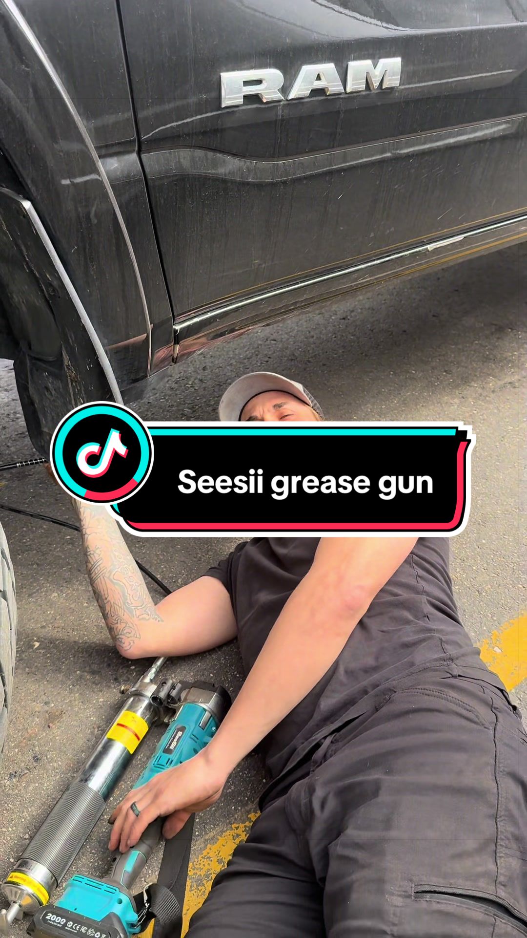 TikTok post by @treehound22 for Seesii. Caption reads: @SEESII Tools #DammitBob #HateSteven [...].