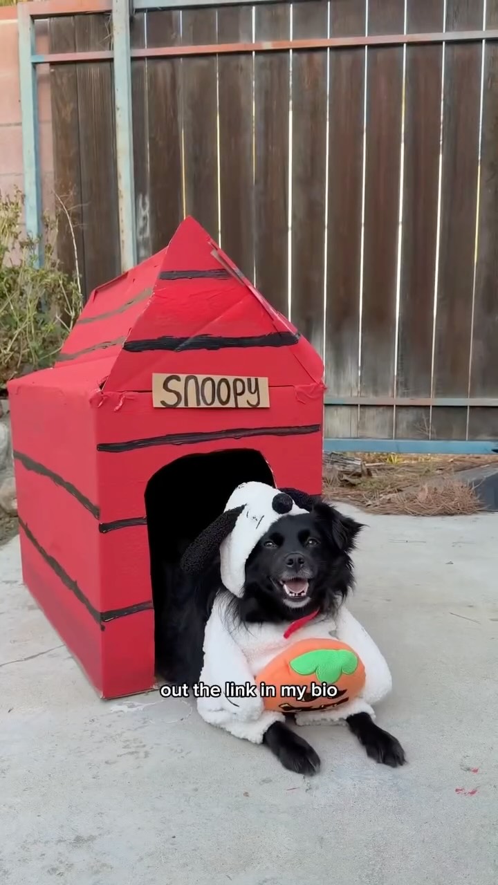 Instagram post by @thania_nayelli for Snoopy and The Peanuts Gang. Caption reads: Built my dog his very own Snoopy house!! From....