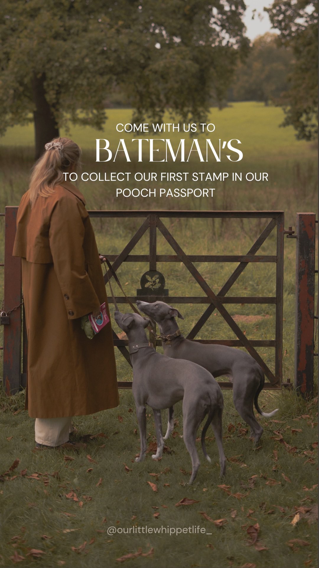 Instagram post by @ourlittlewhippetlife_ for Forthglade. Caption reads: [...] 2025/2026 season. @nationaltrust and....