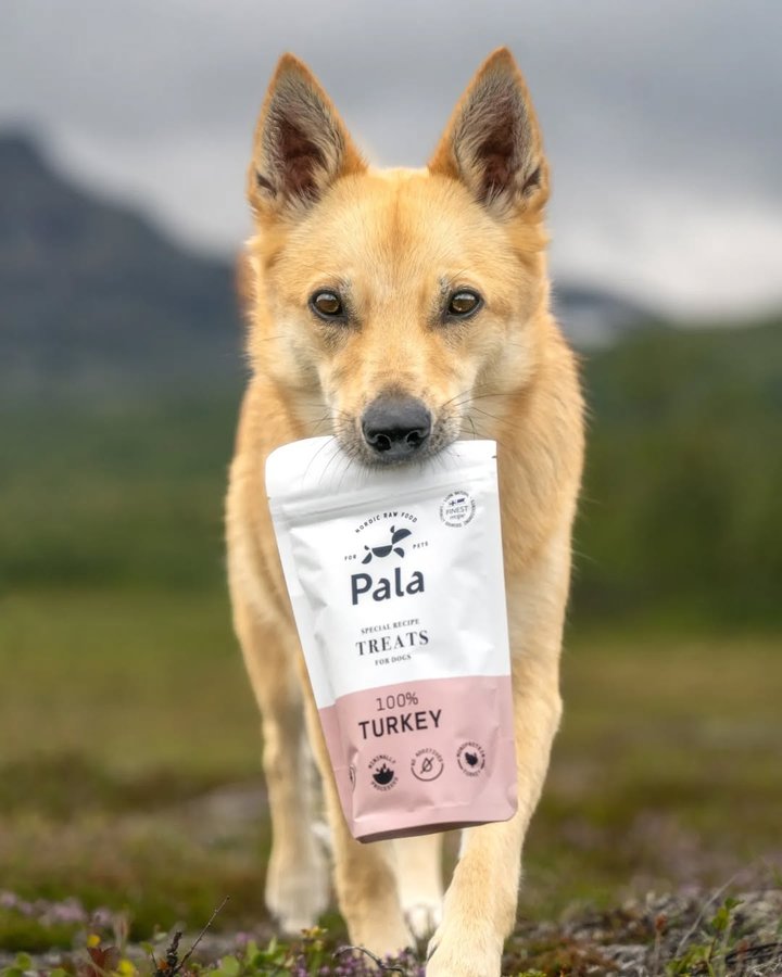 Instagram post by @simplysarek for Pala Pets. Caption reads: Snack delivery 😋 don't be fooled though...swipe....