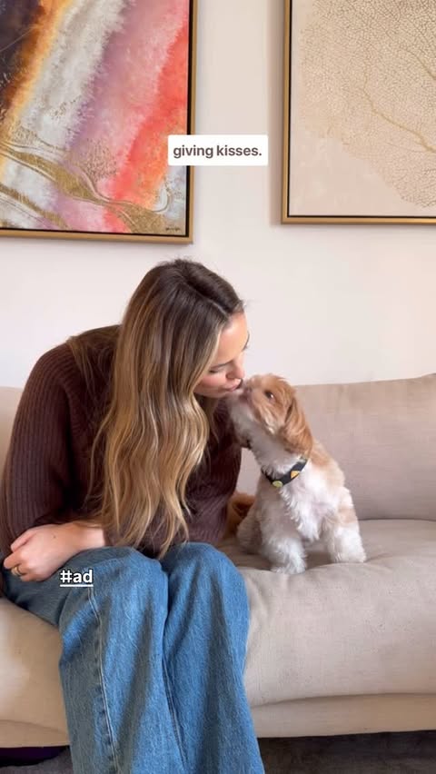 Instagram post by @enzoistheshiht for Greenies. Caption reads: [...] on top of his dental care routine and....
