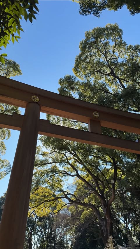 Instagram post by @aliciamaclaren for Monos. Caption reads: Monos is having their 15% off [...].