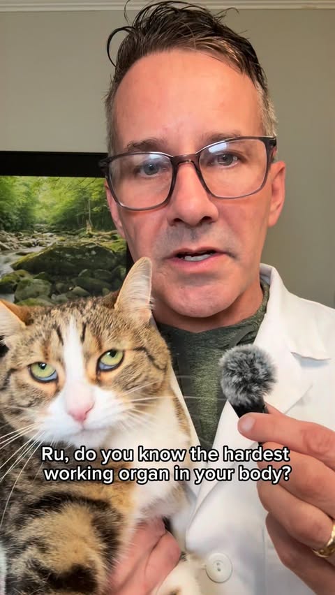 Instagram post by @dr.mattmcglasson for Fera Pets. Caption reads: [...] vet‑created formula from FeraPets makes it....