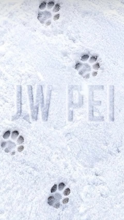 Instagram post by @mehrnooosh_safari for JW PEI. Caption reads: Timeless elegance @jwpei_official #jwpei_official....