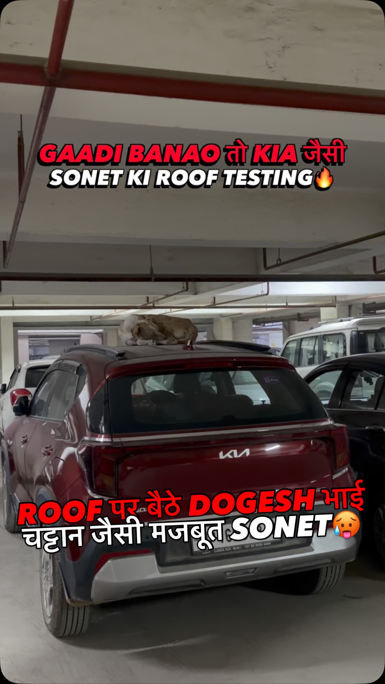 Instagram post by @autojournal_india for Kia. Caption reads: “जब SONET के ROOF पर बैठे DOGESH भाई🔥ना BEND ना....
