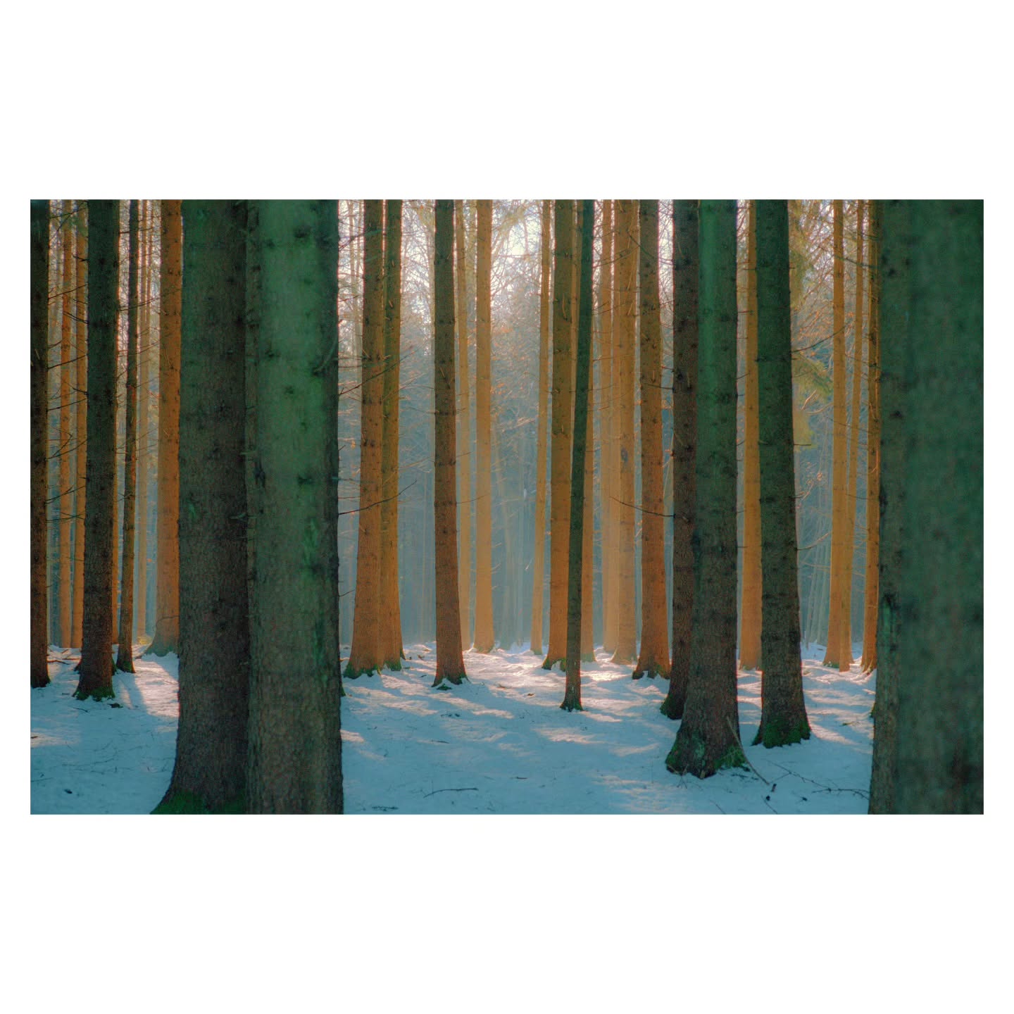 Instagram post by @analoguevibez for Kodak. Caption reads: winter dreams ❄️ #madewithkodak....