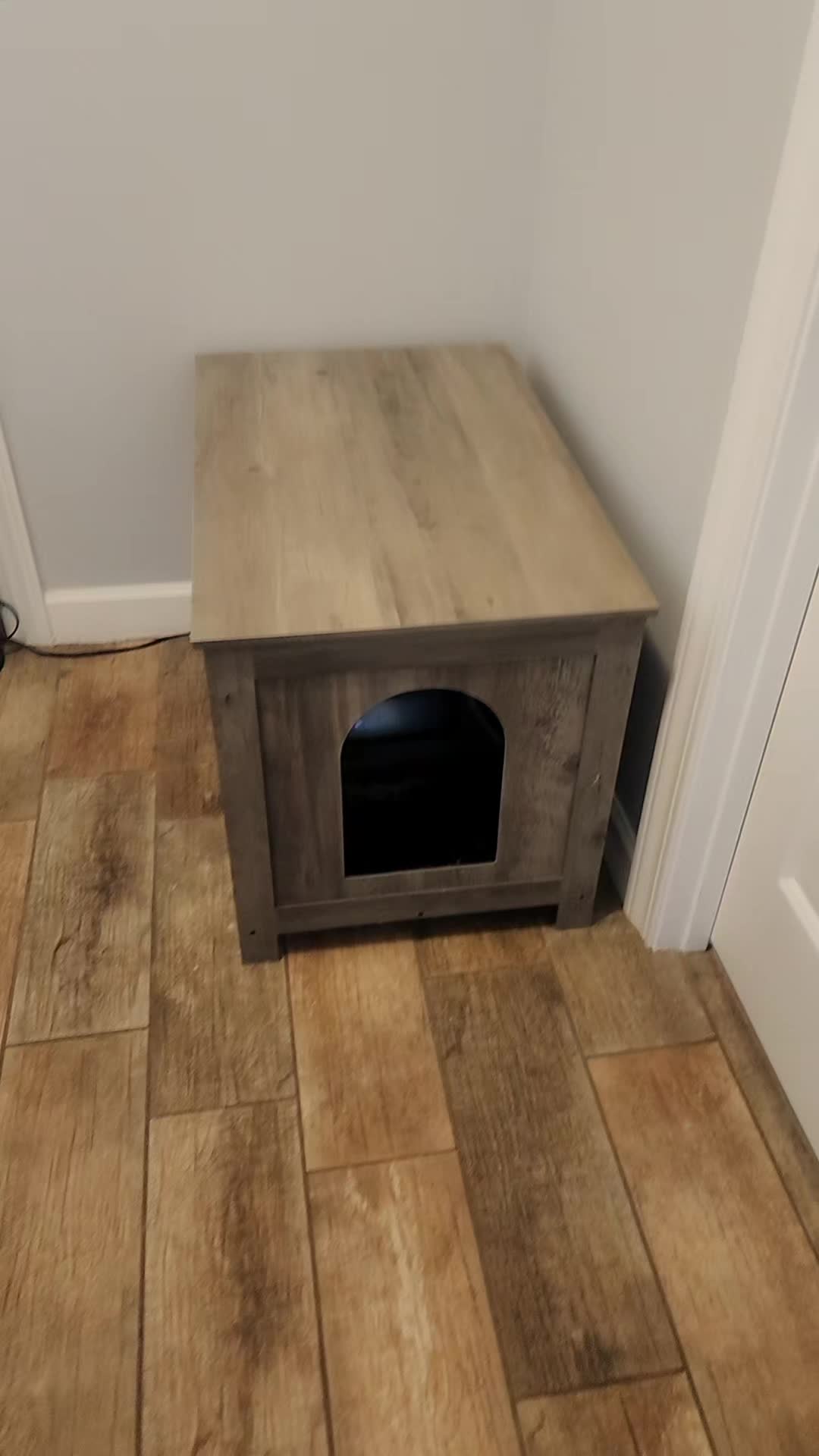 TikTok post by @aliciamaxey83 for Walsunny. Caption reads: [...] #wallsunnyfurniture #catsoftiktok @Walsunny....