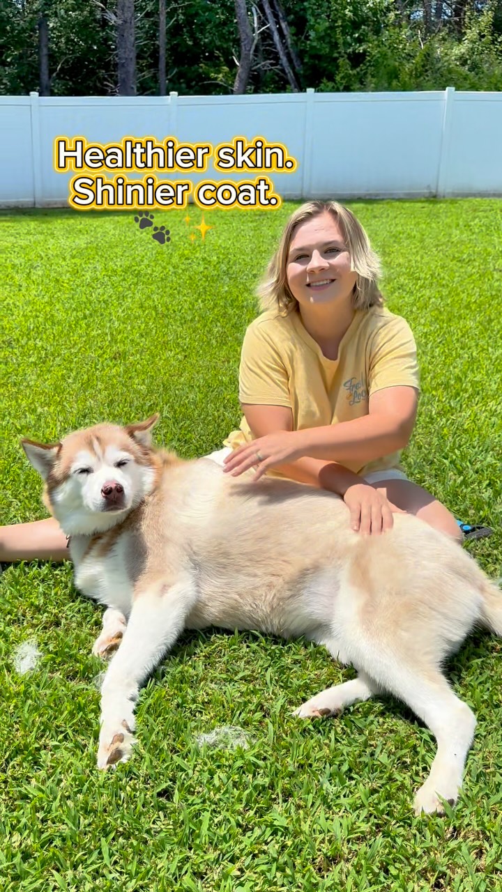 Instagram post by @casshollister for Purina One. Caption reads: [...] We finished the 28-Day Challenge with....