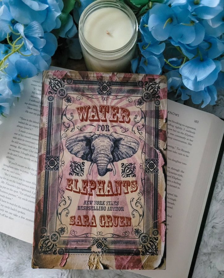 Instagram post by @thesleepybookworm for Once Upon A Book Club. Caption reads: 🐘Water For Elephants Mini Review 🐘
Have you ever....