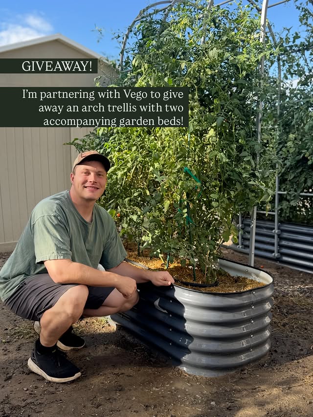 Instagram post by @realfarmerjeff for Vego Garden. Caption reads: GIVEAWAY! I am partnering with @vego_garden to....