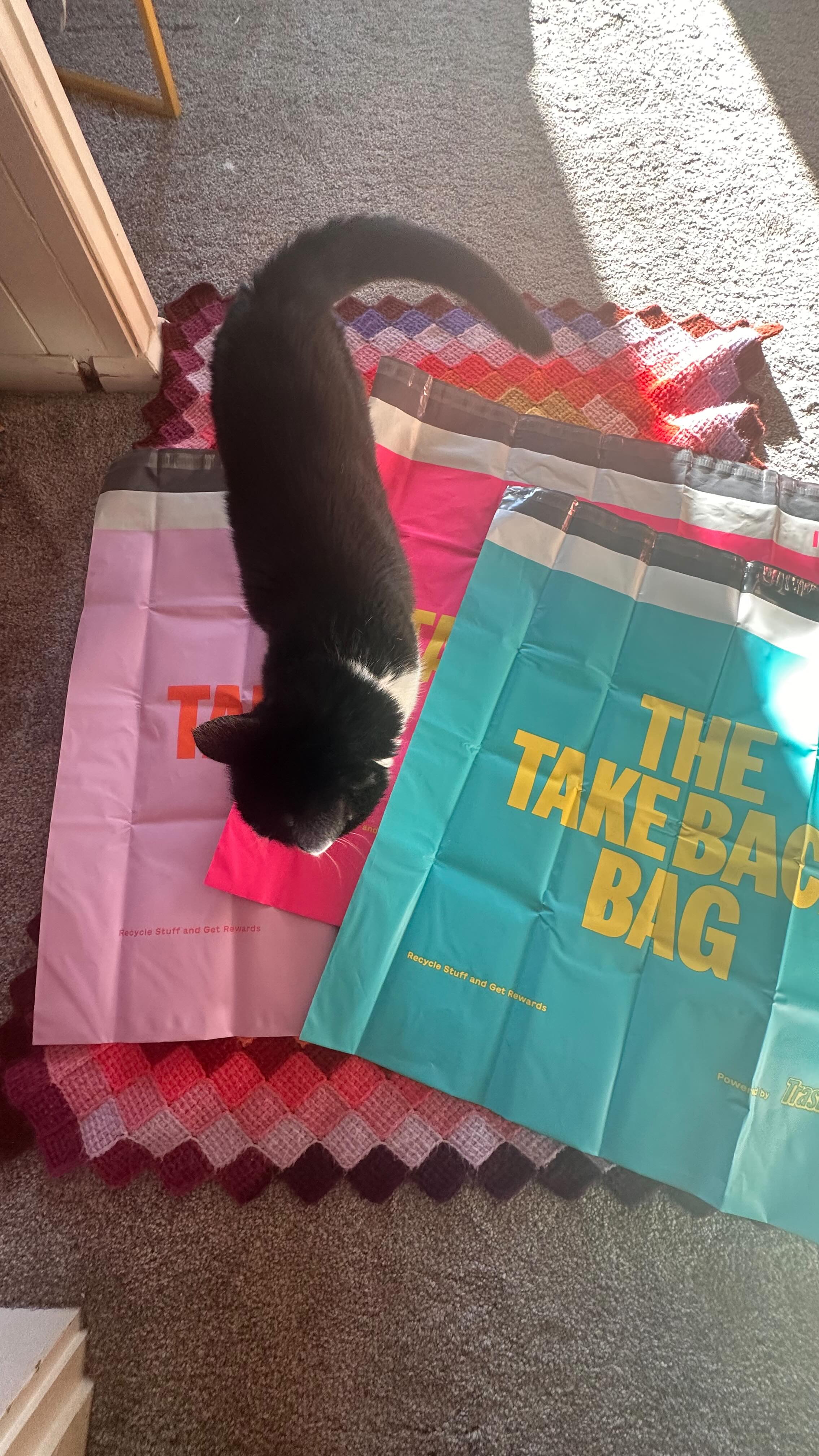 Instagram post by @thriftroseys for Trashie. Caption reads: Get Trashie with me 🗑️♻️🚮 We all know l’ve....