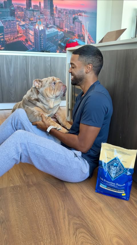 Instagram post by @ivanbhall for blue buffalo. Caption reads: [...] good because he deserves the best 🐾....