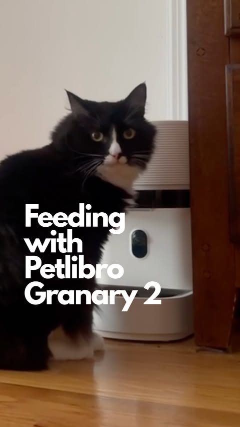 Instagram post by @girlsandtheircats for PETLIBRO. Caption reads: @petlibro collaborated with us to share how the....