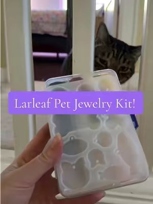 TikTok post by @chornobylthecat for Larleaf. Caption reads: [...] comes with video tutorials to show me!....