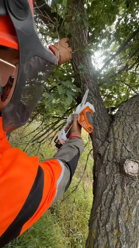 Instagram post by @dustylumberco for STIHL. Caption reads: The @stihlcanada GTA 40 saw is a handy little saw....