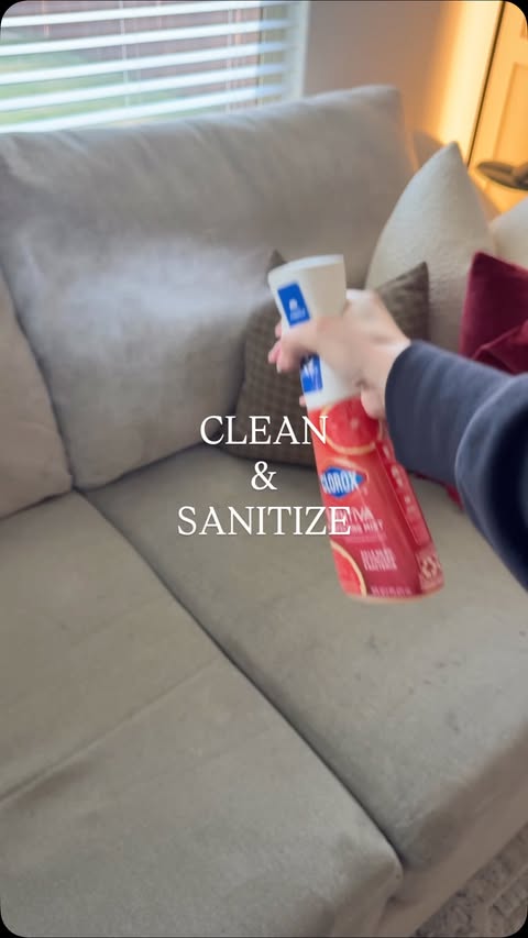 Instagram post by @ionemaeve for Clorox. Caption reads: Let’s clean & sanitize! Not sponsored by @clorox....