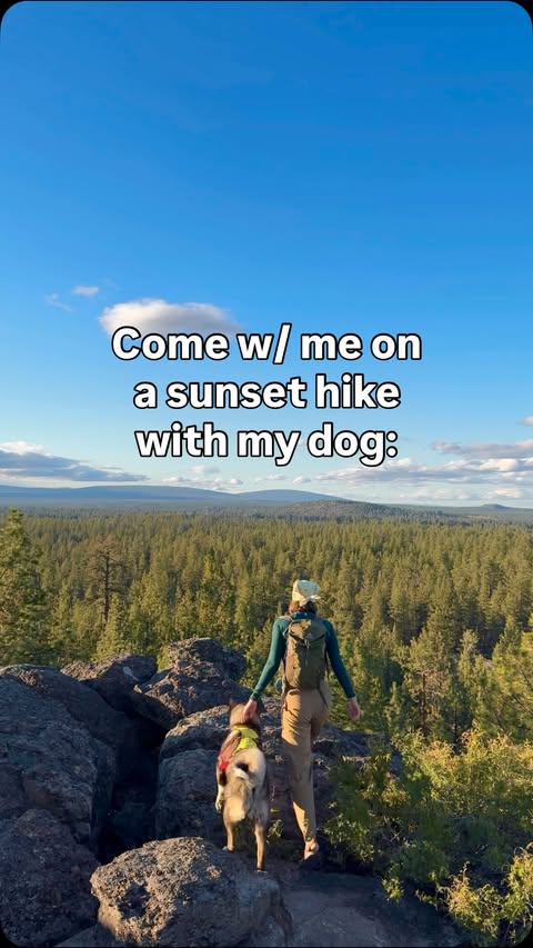 Instagram post by @wherewewentnext for ORIJEN Petfoods. Caption reads: Come on a sunset quest with Yuki and me, while Dad....