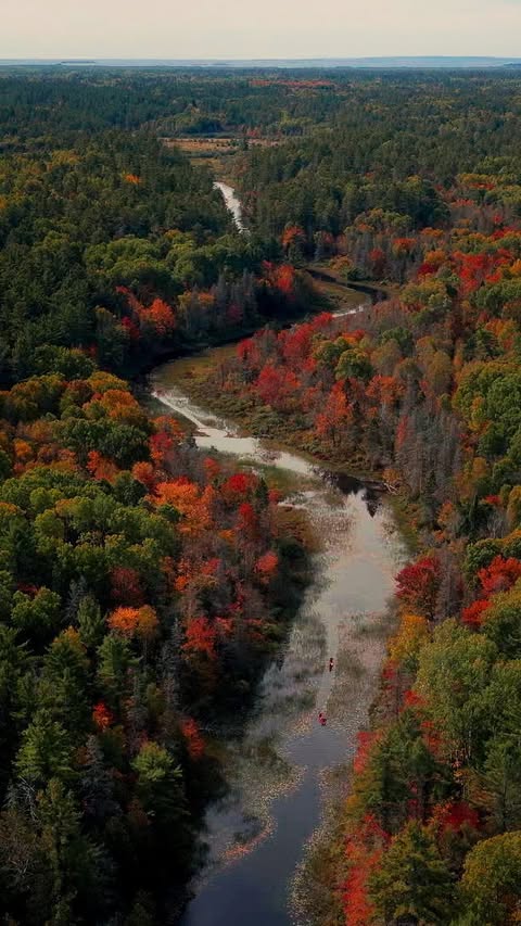 Instagram post by @king_of_ginger for Destination Ontario. Caption reads: Fall colours in Point Grondine, Killarney,....
