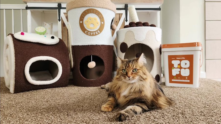 Instagram post by @chey_muterwilliams for Happy & Polly. Caption reads: 🎉Happy & Polly Turns 5!🎂
To Celebrate Our 5th....