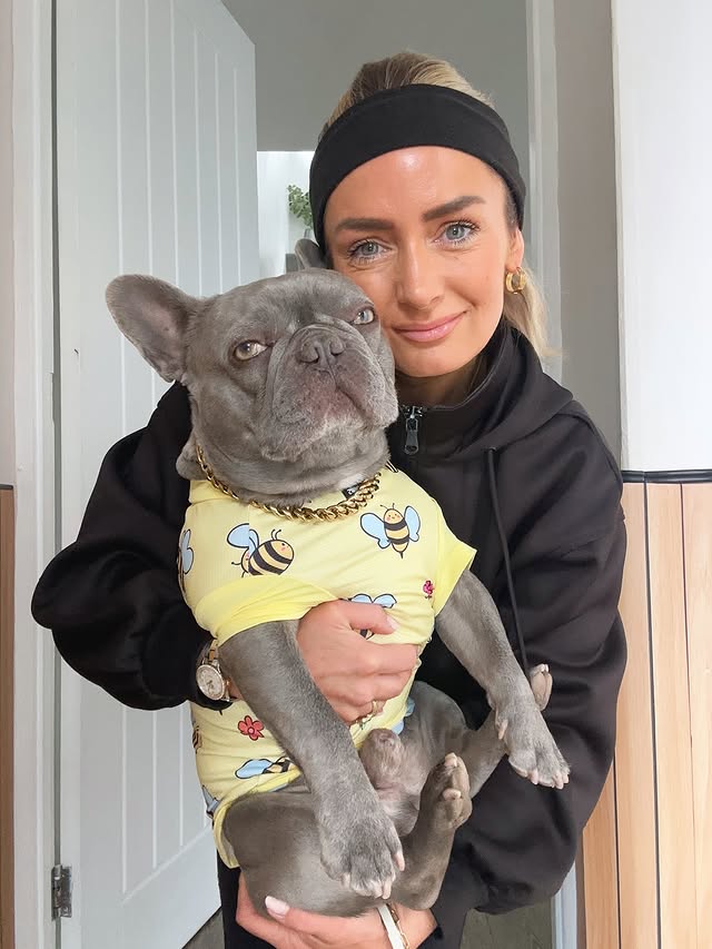 Instagram post by @milo_lilac for Spark Paws. Caption reads: Bee there for you 🐝 @sparkpawsofficial Wearing....