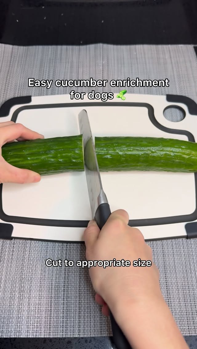 Instagram post by @goldenpup.mika for Open Farm Pet. Caption reads: Cucumbers are low in calories, very hydrating, and....