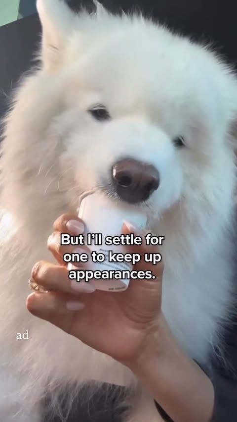 Instagram post by @emily.fauver for Zoetis Petcare. Caption reads: #ad Things have changed so much for us, especially....